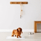 Scented Dog Pee Pads Leak-Proof with Sticker