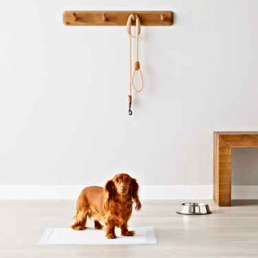 Scented Dog Pee Pads Leak-Proof with Sticker