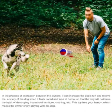 296-Interactive-Dog-Ball-Throwing-Stick-Toy-5-1-1.webp