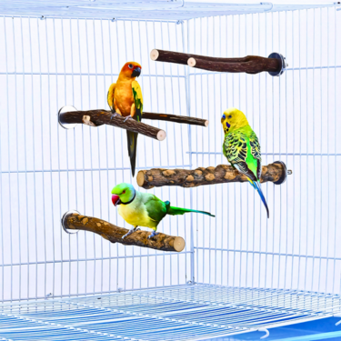 4-Piece Set Natural Wood Parrot Perches Toy (5)