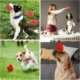 65-Interactive-Rubber-Ball-Dog-Toy-11-1-1.webp