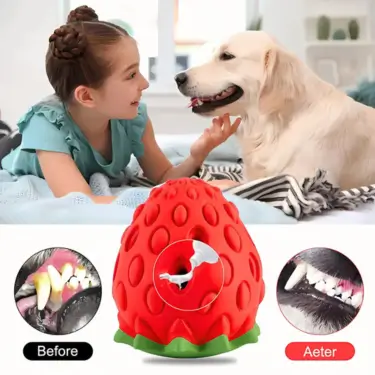 65-Interactive-Rubber-Ball-Dog-Toy-5-1-1.webp