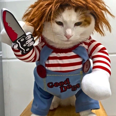 Adjustable For Christmas Funny Dog Clothes (6)