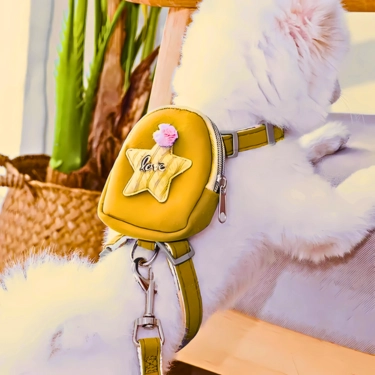 Adjustable Pet Harness and Leash for Walking (5)