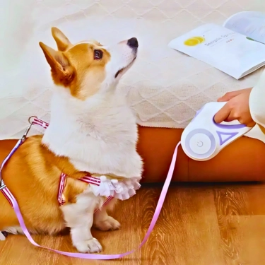 Automatic Dog Leash with LED Light (8)