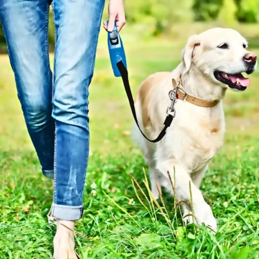 Automatic Retractable Dog Leash (30)