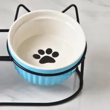 Ceramic Elevated Cat Bowl with Metal Stand (12)