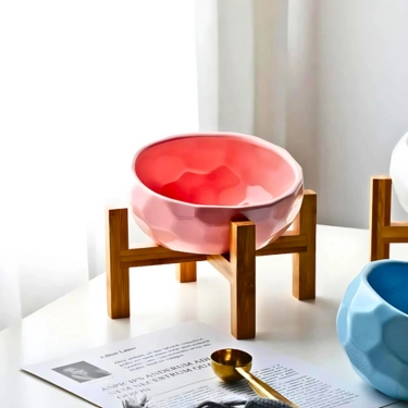 Ceramic Tilted Elevated Raised Pet Bowl (13)