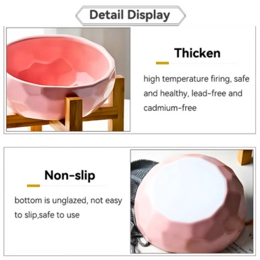 Ceramic Tilted Elevated Raised Pet Bowl (2)