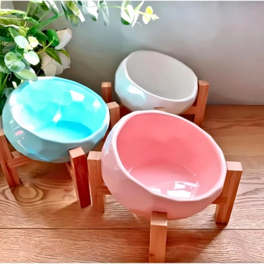 Ceramic Tilted Elevated Raised Pet Bowl (4)