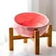Ceramic Tilted Elevated Raised Pet Bowl (5)