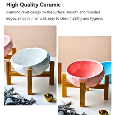Ceramic Tilted Elevated Raised Pet Bowl (6)
