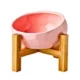 Ceramic Tilted Elevated Raised Pet Bowl (8)