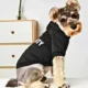 Comfortable Winter Warm Dog Clothes (2)