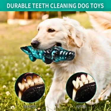 Crocodile Shape Dog Toy (12)