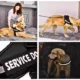 Dog Adjustable Reflective Harness (30)