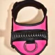 Dog Harness With Handle (34)