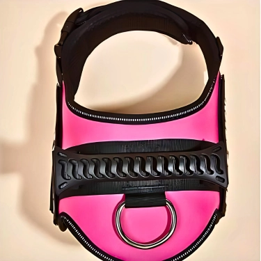 Dog Harness With Handle (34)