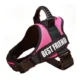 Dog Harness With Handle (35)