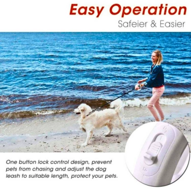 Dog Leash with LED Flashlight (13)