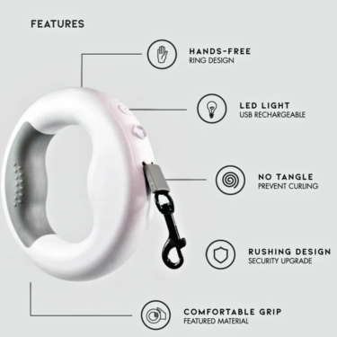 Dog Leash with LED Flashlight (2)