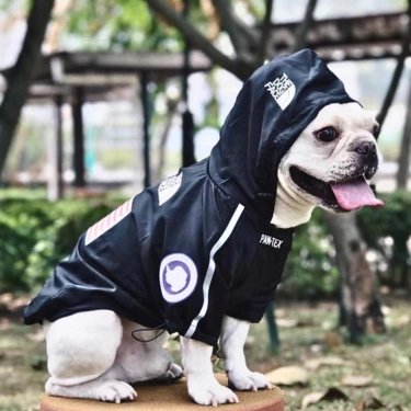 Dog Lightweight Rain Jacket Waterproof (3)