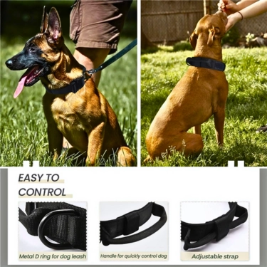 Durable Nylonl Dog Collar (2)