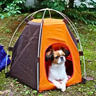 Foldable Dog Tent House (2)