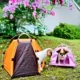 Foldable Dog Tent House (7)