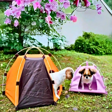 Foldable Dog Tent House (7)