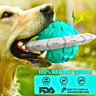 Interactive Ball-Squeaking Dog Toy (3)