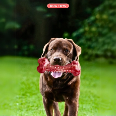 Interactive Boredom Toys for Dog (2)