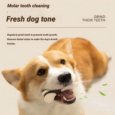 Interactive Dog Chewing Bones Toys (7)