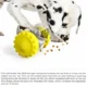 Interactive Dog Food Dispenser Puzzle Toys (5)