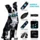 LED Pet Light Collar USB Charging (30)