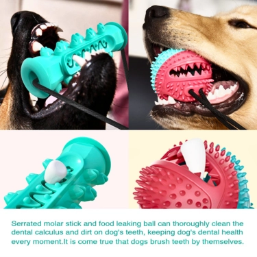 Molar Bite Dog Toy (4)