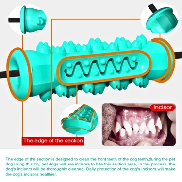 Molar Bite Dog Toy (6)