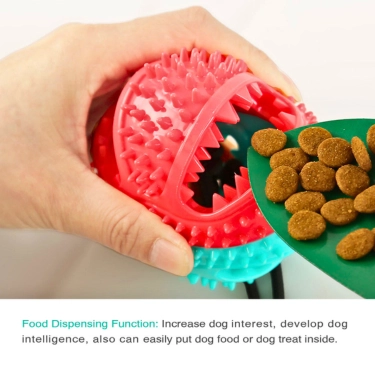 Molar Bite Dog Toy (8)