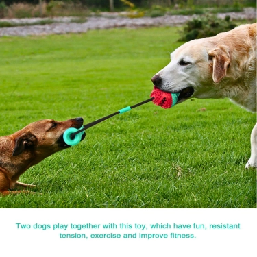 Molar Bite Dog Toy (9)