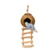 Natural Coconut Bird Toy for Small Birds (1)