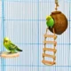 Natural Coconut Bird Toy for Small Birds (7)