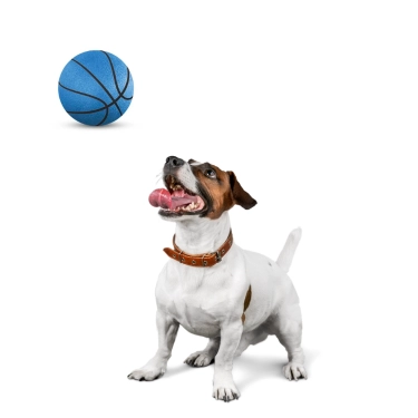 Non-Toxic Pet Sports Rubber Balls Toy (8)