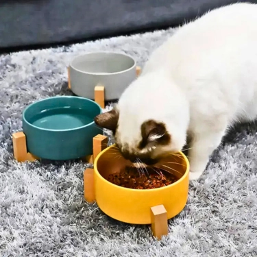 Pet Bowl with Wood Stand (23)
