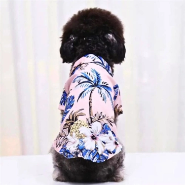 Pet Clothes Floral Kitten T-shirt (21)