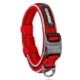 Pet Collar Reflective Anti-Stretch (2)