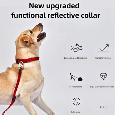 Pet Collar Reflective Anti-Stretch (28)