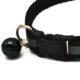 Pet LED Luminous Collar (41)