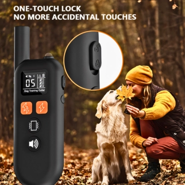Pet Remote Control Dog Training Collar (4)