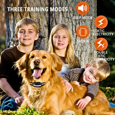 Pet Remote Control Dog Training Collar (8)