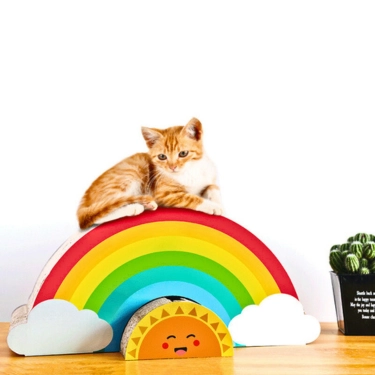 Rainbow Scratch Cat Claw Plate (3)